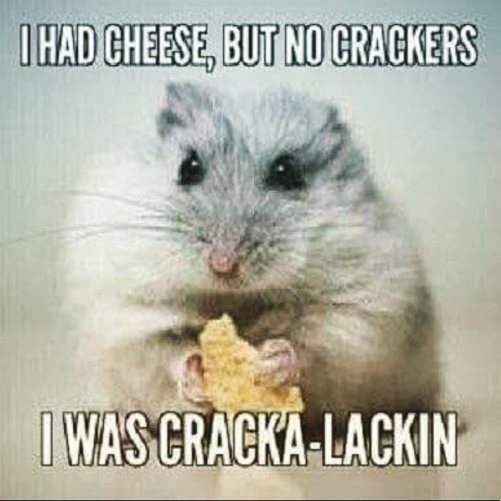 GAME CLOSED PLS LIKE NEW LISTING⬅️TY!😃 - Picture 9 of 16